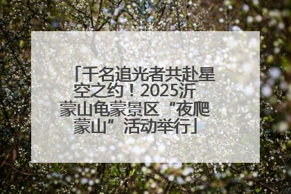 千名追光者共赴星空之约！2025沂蒙山龟蒙景区“夜爬蒙山”活动举行