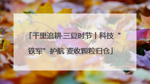 千里追耕·三夏时节丨科技“铁军”护航 麦收颗粒归仓