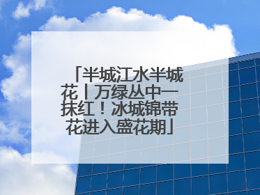 半城江水半城花丨万绿丛中一抹红！冰城锦带花进入盛花期
