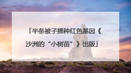 半条被子播种红色基因《沙洲的“小树苗”》出版