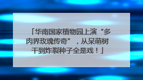 华南国家植物园上演“多肉界玫瑰传奇”，从呆萌树干到炸裂种子全是戏！