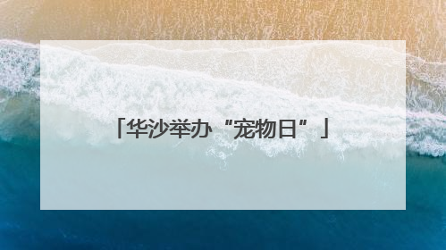 华沙举办“宠物日”