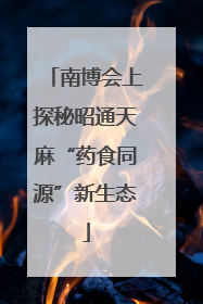 南博会上探秘昭通天麻“药食同源”新生态