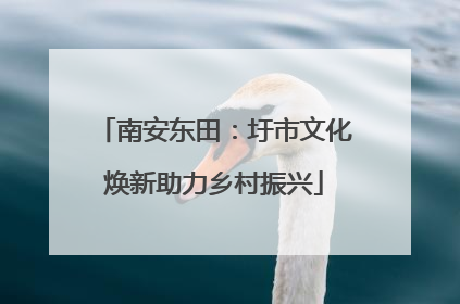 南安东田：圩市文化焕新助力乡村振兴