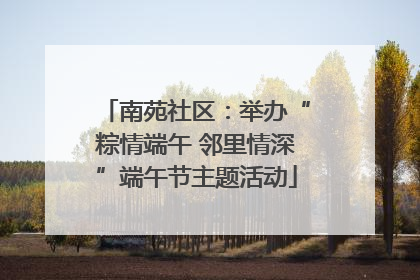 南苑社区：举办“粽情端午 邻里情深”端午节主题活动