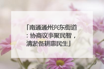 南通通州兴东街道：协商议事聚民智，清淤备耕惠民生