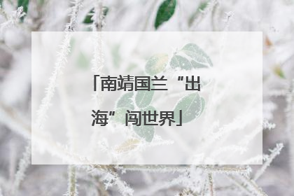 南靖国兰“出海”闯世界