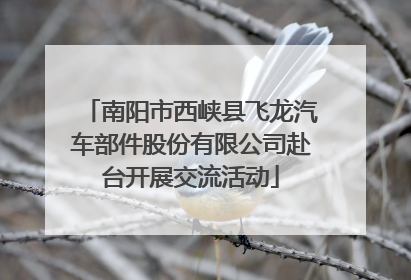 南阳市西峡县飞龙汽车部件股份有限公司赴台开展交流活动