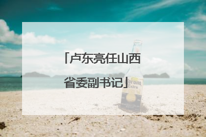 卢东亮任山西省委副书记