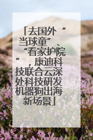 去国外“当球童”、“看家护院”，康迪科技联合云深处科技研发机器狗出海新场景