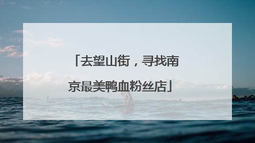 去望山街，寻找南京最美鸭血粉丝店