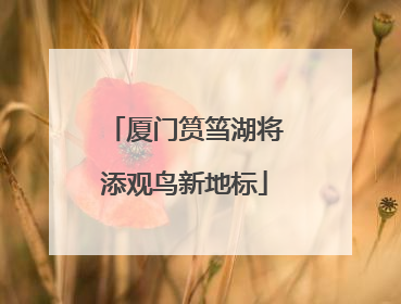厦门筼筜湖将添观鸟新地标