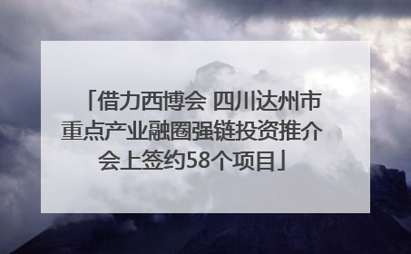 借力西博会 四川达州市重点产业融圈强链投资推介会上签约58个项目