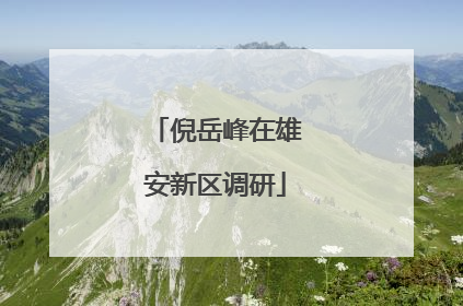 倪岳峰在雄安新区调研