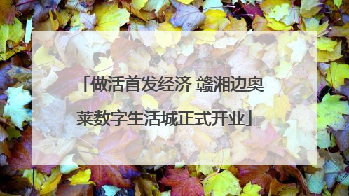 做活首发经济 赣湘边奥莱数字生活城正式开业