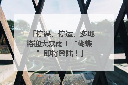 停课、停运、多地将迎大暴雨！“蝴蝶”即将登陆！
