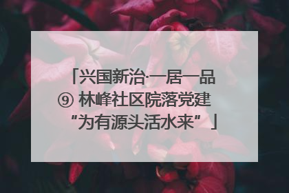 兴国新治·一居一品⑨ 林峰社区院落党建“为有源头活水来”