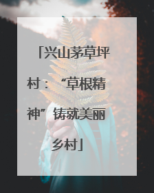 兴山茅草坪村：“草根精神”铸就美丽乡村