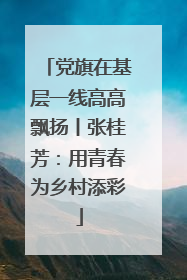 党旗在基层一线高高飘扬丨张桂芳：用青春为乡村添彩