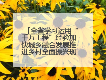 全省学习运用“千万工程”经验加快城乡融合发展推进乡村全面振兴现场会在上杭举行