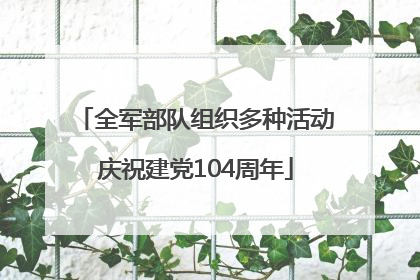 全军部队组织多种活动庆祝建党104周年