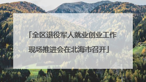 全区退役军人就业创业工作现场推进会在北海市召开