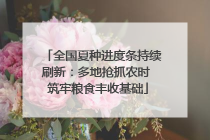 全国夏种进度条持续刷新：多地抢抓农时 筑牢粮食丰收基础