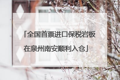 全国首票进口保税岩板在泉州南安顺利入仓
