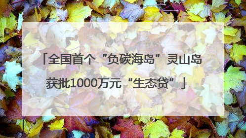 全国首个“负碳海岛”灵山岛获批1000万元“生态贷”