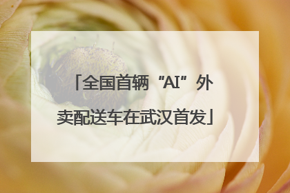 全国首辆“AI”外卖配送车在武汉首发
