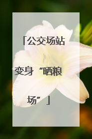 公交场站变身“晒粮场”