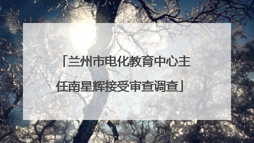 兰州市电化教育中心主任南星辉接受审查调查
