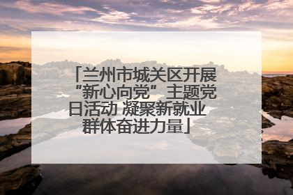 兰州市城关区开展“新心向党”主题党日活动 凝聚新就业群体奋进力量