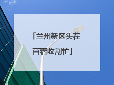 兰州新区头茬苜蓿收割忙