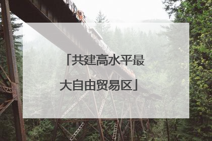 共建高水平最大自由贸易区