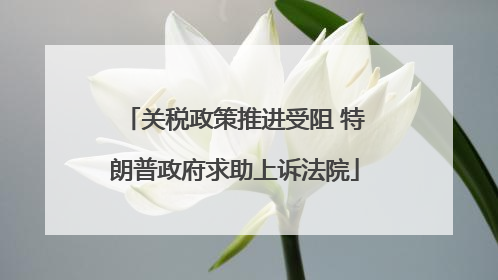 关税政策推进受阻 特朗普政府求助上诉法院