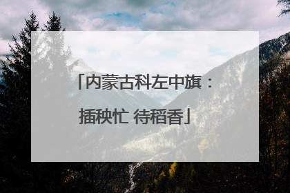 内蒙古科左中旗：插秧忙 待稻香