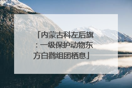 内蒙古科左后旗：一级保护动物东方白鹳组团栖息