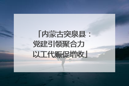 内蒙古突泉县：党建引领聚合力 以工代赈促增收