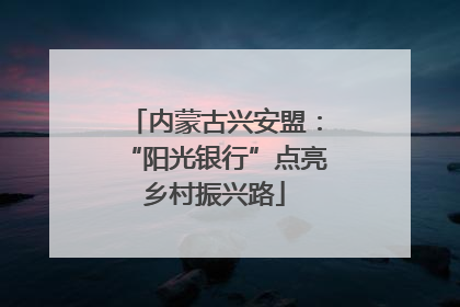 内蒙古兴安盟：“阳光银行”点亮乡村振兴路