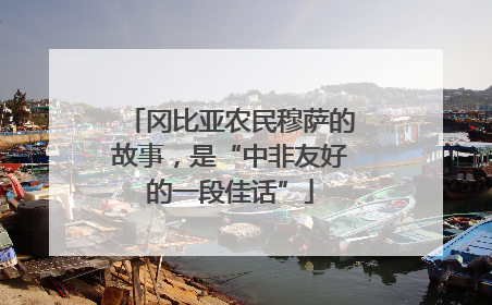 冈比亚农民穆萨的故事，是“中非友好的一段佳话”