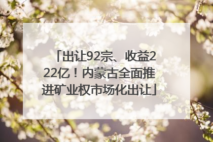 出让92宗、收益222亿！内蒙古全面推进矿业权市场化出让