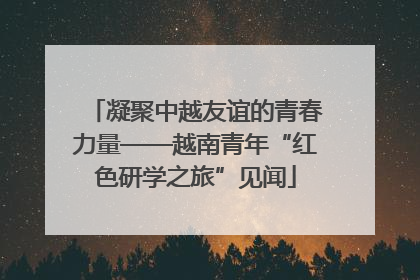 凝聚中越友谊的青春力量——越南青年“红色研学之旅”见闻