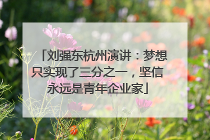 刘强东杭州演讲：梦想只实现了三分之一，坚信永远是青年企业家