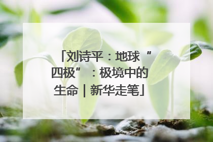 刘诗平：地球“四极”：极境中的生命｜新华走笔