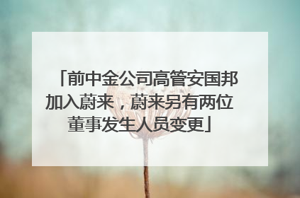 前中金公司高管安国邦加入蔚来，蔚来另有两位董事发生人员变更
