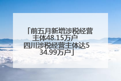 前五月新增涉税经营主体48.15万户 四川涉税经营主体达534.99万户
