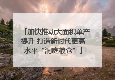 加快推动大面积单产提升 打造新时代更高水平“洞庭粮仓”