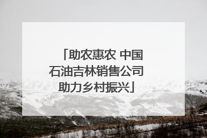 助农惠农 中国石油吉林销售公司助力乡村振兴