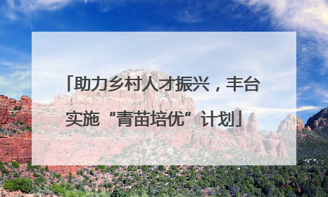 助力乡村人才振兴，丰台实施“青苗培优”计划